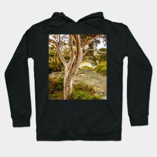 Mount Ettalong Lookout, Umina Beach, NSW, Australia Hoodie